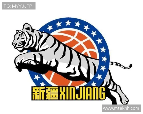 CBA球队外援注册政策解析及对球队竞争力的影响分析